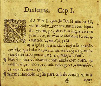 PDF) A Arte de Grammatica da Lingoa mais vsada na costa do Brasil