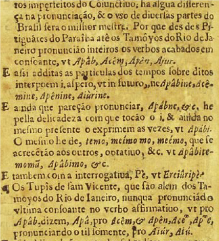 PDF) A Arte de Grammatica da Lingoa mais vsada na costa do Brasil