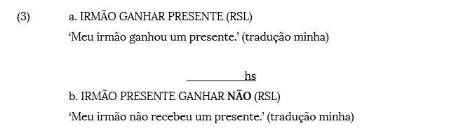 A negação nas línguas sinalizadas